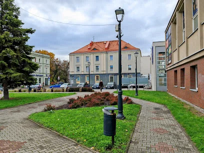 Kino Pegaz