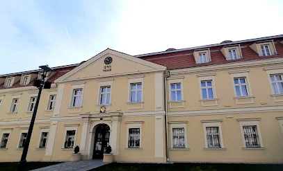 Pałac Dietrichsteinów (Muzeum Miejskie w Wodzisławiu Śląskim)